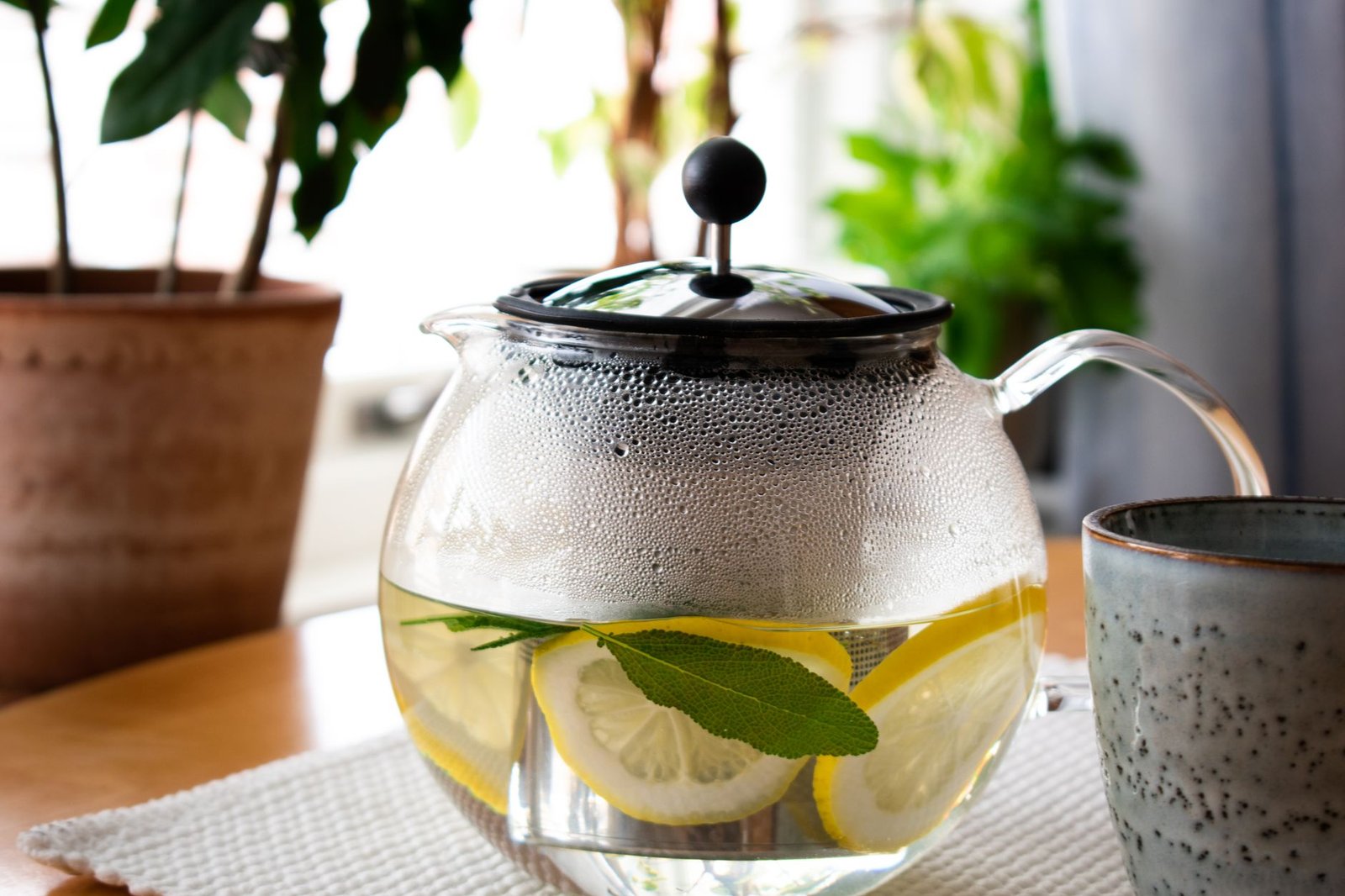 A refreshing glass of rosemary infused water with fresh rosemary sprigs