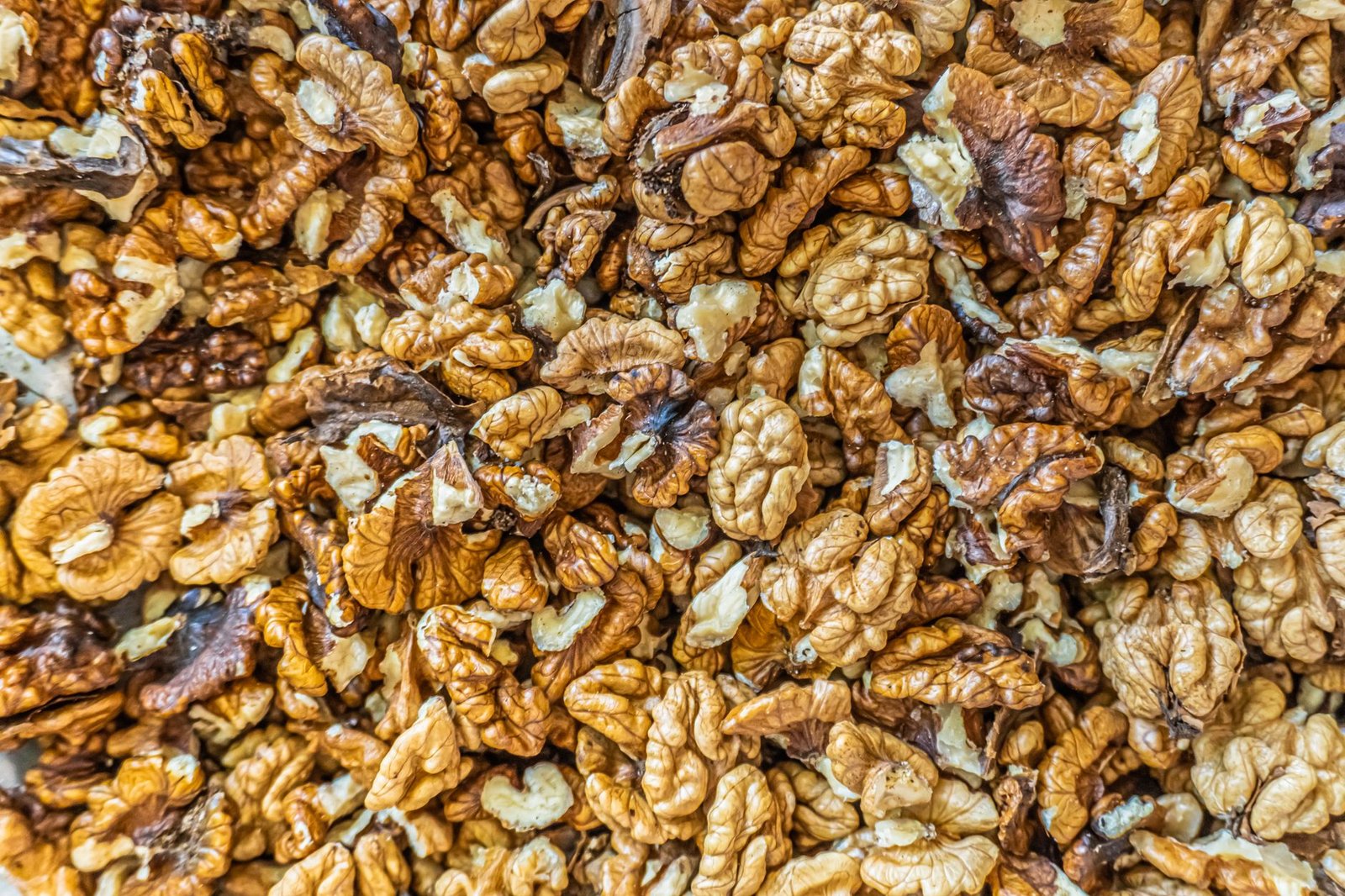 A brain with walnuts surrounding it