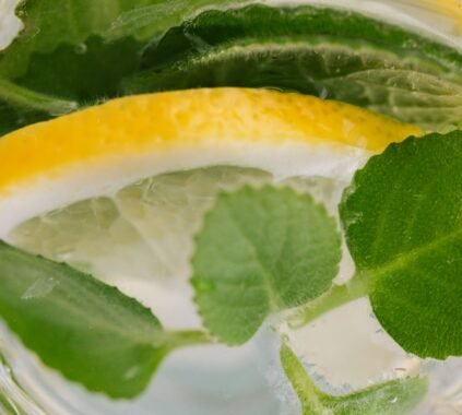 Rosemary Infused Water Benefits