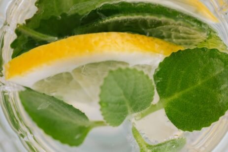 Rosemary Infused Water Benefits