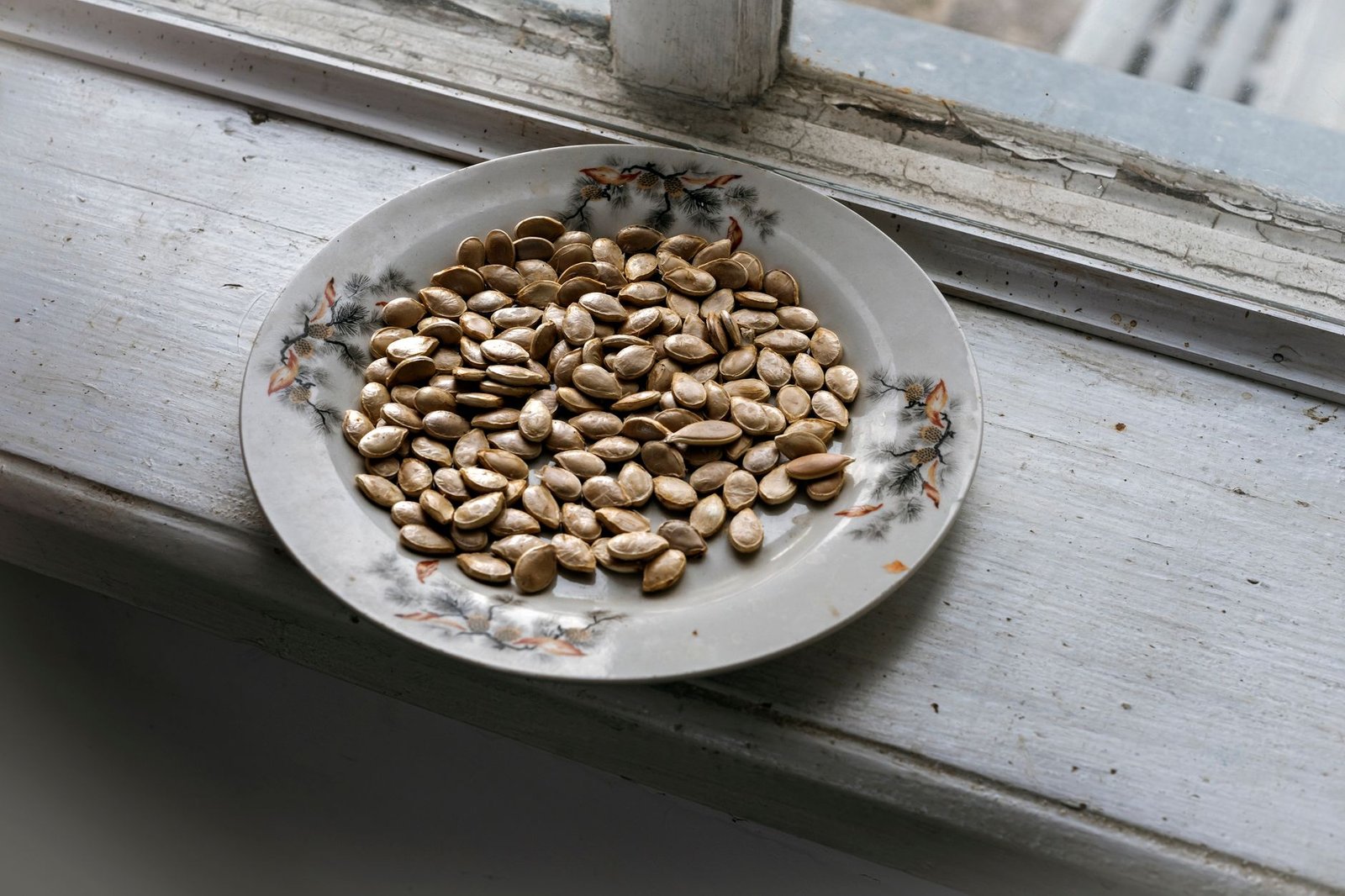 Benefits of Pumpkin Seeds for Prostate Health