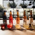 Kombucha Health Benefits Explained