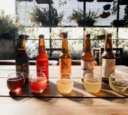 Kombucha Health Benefits Explained