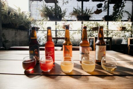 Kombucha Health Benefits Explained