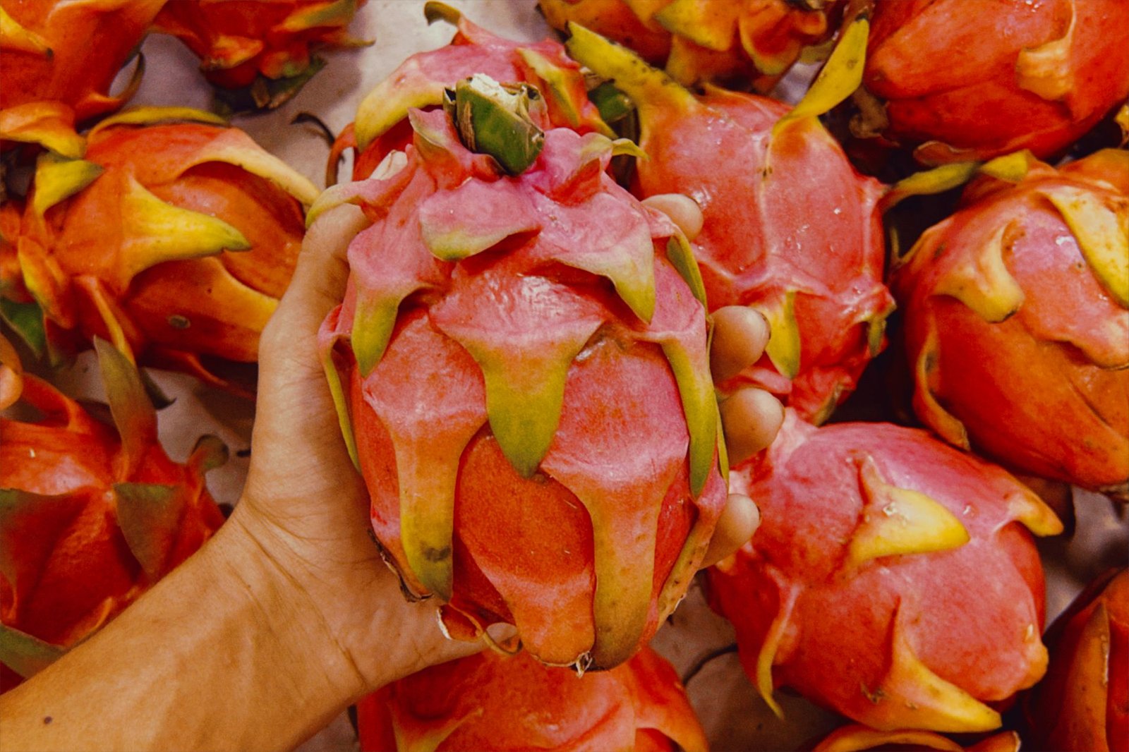 Nutritional information about dragon fruit