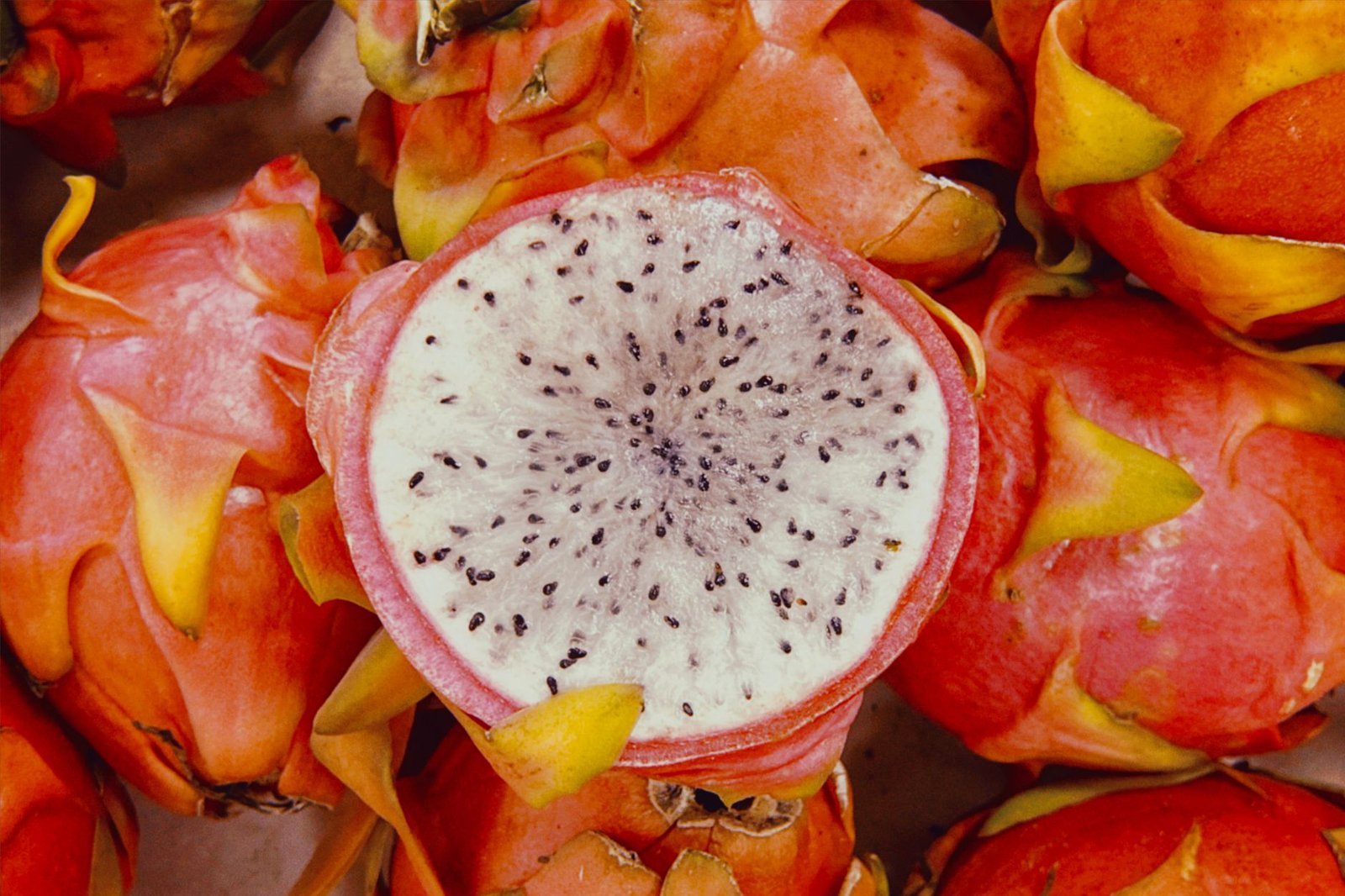 Different types of dragon fruit